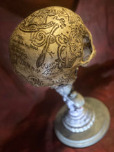Load image into Gallery viewer, FREE HP Philosopher's Stone Skull with purchase of HP Sketch (while supplies last)