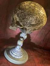 Load image into Gallery viewer, FREE HP Philosopher's Stone Skull with purchase of HP Sketch (while supplies last)