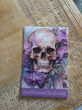 Load image into Gallery viewer, Wordy Skull Sketch - Odd Truce