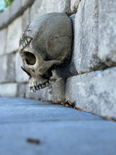 Load image into Gallery viewer, Wall Skull - Past Master