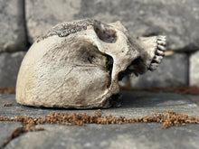 Load image into Gallery viewer, Wall Skull - Masonic G