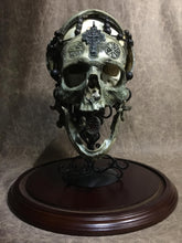 Load image into Gallery viewer, REAL - War Chaplain + stand + Replica Skull to also display on + dome choice