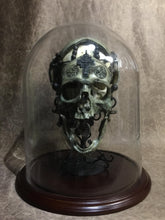 Load image into Gallery viewer, REAL - War Chaplain + stand + Replica Skull to also display on + dome choice