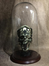 Load image into Gallery viewer, REAL - War Chaplain + stand + Replica Skull to also display on + dome choice