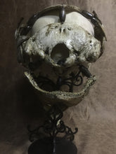 Load image into Gallery viewer, Berserker Skull