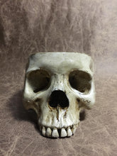 Load image into Gallery viewer, Skull Bowl - Female