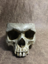 Load image into Gallery viewer, Skull Bowl - Male