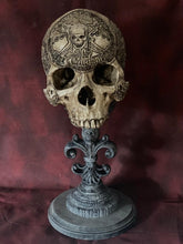 Load image into Gallery viewer, Sketch - The Pirate of the Caribbean Skull