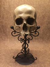 Load image into Gallery viewer, Replica - Deformed Human Skull
