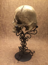 Load image into Gallery viewer, Replica - Deformed Human Skull