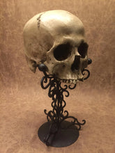 Load image into Gallery viewer, Replica - Deformed Human Skull