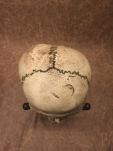 Load image into Gallery viewer, Replica - Deformed Human Skull