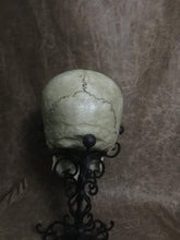 Load image into Gallery viewer, UnCarved Female Skull