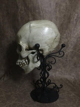 Load image into Gallery viewer, UnCarved Female Skull