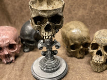 Load image into Gallery viewer, Fleur de lis - Skull Stand