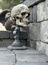 Load image into Gallery viewer, Hiram Abiff Skull