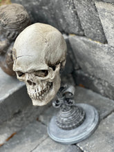 Load image into Gallery viewer, Hiram Abiff Skull