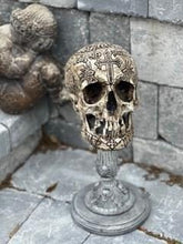 Load image into Gallery viewer, Seven Horned Lamb Skull