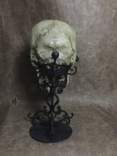 Load image into Gallery viewer, UnCarved Male Skull