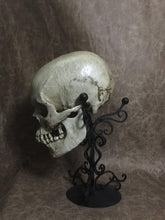 Load image into Gallery viewer, UnCarved Male Skull