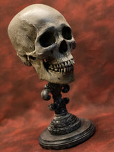 Load image into Gallery viewer, Uncarved Male Skull 2