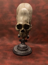 Load image into Gallery viewer, Peruvian Skull