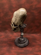 Load image into Gallery viewer, Peruvian Skull