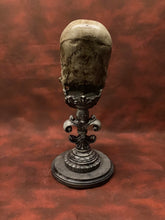 Load image into Gallery viewer, Peruvian Skull