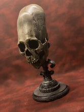 Load image into Gallery viewer, Peruvian Skull