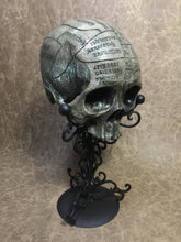Load image into Gallery viewer, Phrenology Skull