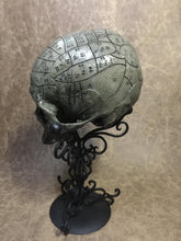 Load image into Gallery viewer, Phrenology Skull