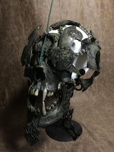 Load image into Gallery viewer, Real Viking Berserker Skull