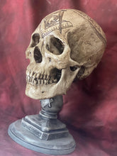 Load image into Gallery viewer, Room of Reflection skull
