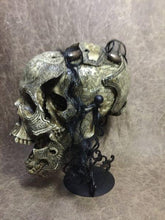 Load image into Gallery viewer, Snake Eater Skull