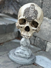 Load image into Gallery viewer, Scottish Rite Southern Jurisdiction Skull