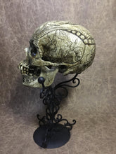 Load image into Gallery viewer, Vlad Tepes The Impaler Skull