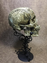 Load image into Gallery viewer, Vlad Tepes The Impaler Skull