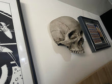 Load image into Gallery viewer, Wall Hung - Masonic Lodge Skull