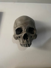 Load image into Gallery viewer, Wall Hung - Male Uncarved Skull