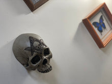 Load image into Gallery viewer, Wall Hung - Masonic Lodge Skull