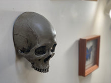 Load image into Gallery viewer, Wall Hung - Male Uncarved Skull