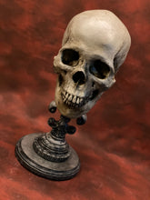 Load image into Gallery viewer, Fleur de lis - Skull Stand