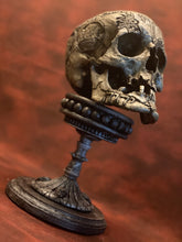 Load image into Gallery viewer, Seven Horned Lamb Skull