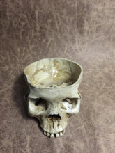 Load image into Gallery viewer, Skull Bowl - Female