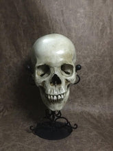 Load image into Gallery viewer, UnCarved Female Skull