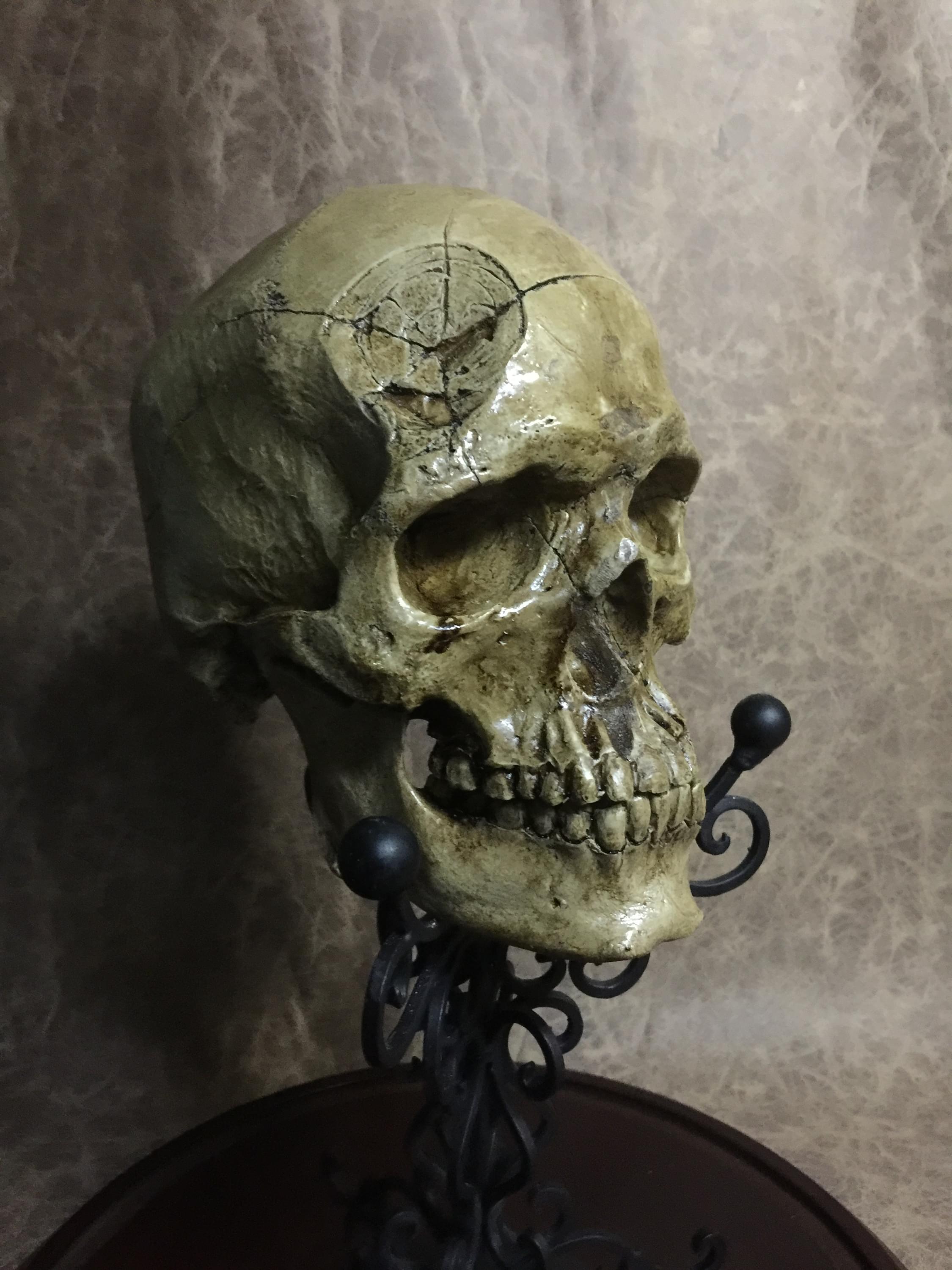 Hiram Abiff Skull – Zane Wylie Skulls