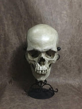 Load image into Gallery viewer, UnCarved Male Skull